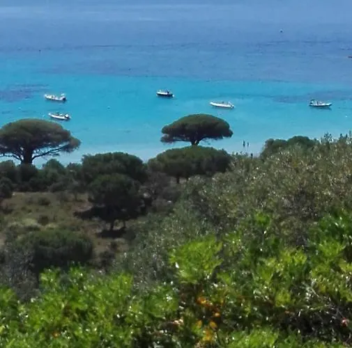 Tatil Evi Maison Sur Palombaggia *