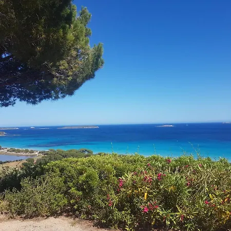 Maison Sur Palombaggia * Porto-Vecchio (Corsica)